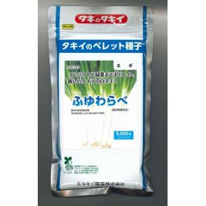 ねぎ 羽緑一本太葱ペレット種子 5000粒 （株）トーホク : グリーン