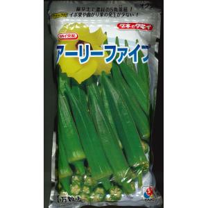 アーリーファイブ 1000粒 オクラ種子【野菜種子】【タキイ種苗