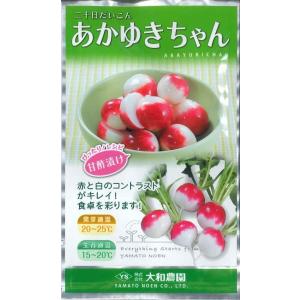 二十日大根　はつかだいこん　あかゆきちゃん　20ｍｌ（およそ1,100粒）　大和農園｜green-loft