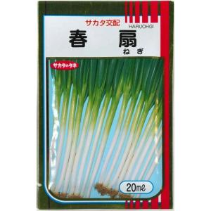 未開封　SK9-099 ブロッコリー コート種子 5000粒　ペレット　サカタ SK9-099 ブロッコリー種子 ペレット5000粒 【野菜種子】【サカタのタネ