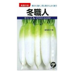 大根 冬職人 20ml (株)タカヤマシードの商品画像