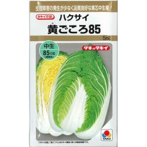 白菜 黄ごころ85 5ml タキイ種苗（株）
