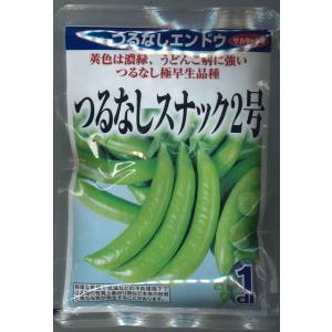 豆類　つるなしえんどう　スナック2号　1dL　（株）サカタのタネ