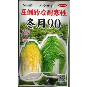 白菜 冬月90 ペレット150粒 (株)サカタのタネ 実咲550 (003171)