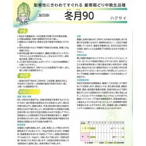白菜 冬月90 ペレット150粒 (株)サカタ...の詳細画像2