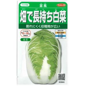 白菜 富風 約310粒 (株)サカタのタネ 実咲450 (002934)