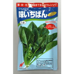 サカタのタネ（サカタノタネ） ブロッコリー おはよう 2000粒 （株