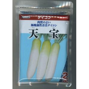 大根 天宝 2dl （株）サカタのタネ