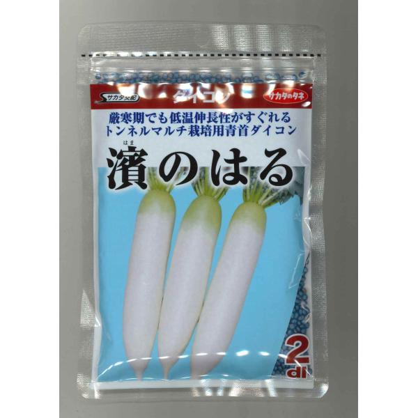 大根 濱のはる 2dl （株）サカタのタネ