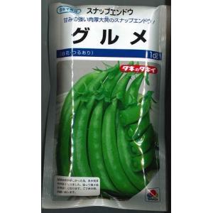 豆類　スナップエンドウ　グルメ   1dl   タキイ種苗（株）