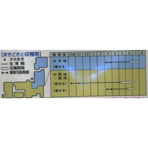 スナップエンドウ グルメ 1dl タキイ種苗(株)の詳細画像1