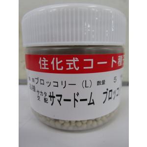 【匿名発送】大人気の新種が激安！ブロッコリーコート種子（アーサー）5000粒 大人気の新種が激安！ブロッコリーコート種子（アーサー）5000粒