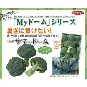ブロッコリー サマードーム ペレット種子500...の詳細画像2