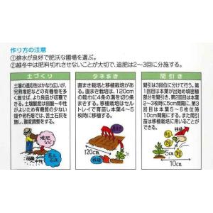 京野菜 みぶな(晩生種) 7ml (株)タカヤ...の詳細画像2