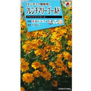花の種　フレンチマリーゴールド　グランドコントロール　小袋　 タキイ種苗（株）(NL150)