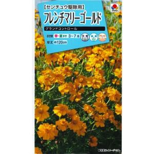 花の種 フレンチマリーゴールド グランドコントロール 小袋 タキイ種苗（株）(NL150)