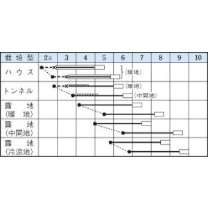 枝豆 富貴 1L タキイ種苗(株)の詳細画像1