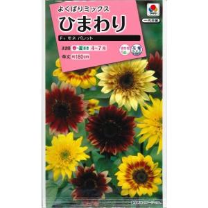 花の種　ひまわり　F1モネパレット　小袋　タキイ種苗（株）（ＮＬ300）