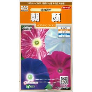 花の種 朝顔 浜の混合 8粒 (株)サカタのタネ 実咲200