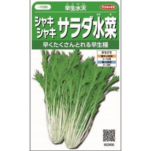 落花生 おおまさりネオ むき実種子 1L(約340粒) 渡辺農事（株