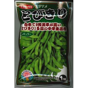 枝豆　とびきり　1dl　（株）サカタのタネ　｜green-loft