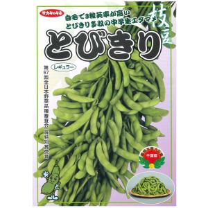 枝豆 とびきり 1dl(株) サカタのタネの詳細画像2