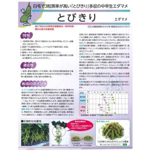 枝豆 とびきり 1dl(株) サカタのタネの詳細画像3