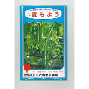 枝豆 丹波黒大粒大豆 1dl(約65粒) タキイ種苗（株） : グリーンロフト
