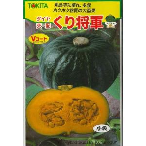 サカタのタネ（サカタノタネ） とうもろこし ゴールドラッシュ90 200粒