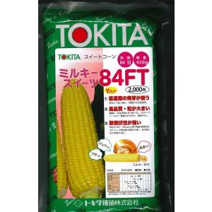 野菜の種/種子 ミルキーシュガー 85日タイプ・とうもろこし