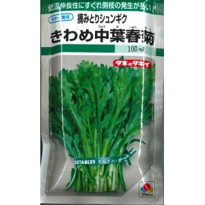 春菊 摘みとりシュンギク きわめ中葉春菊 90ml タキイ種苗 (株) GF