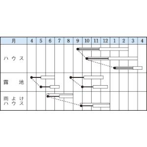 春菊 摘みとりシュンギク きわめ中葉春菊 90...の詳細画像1