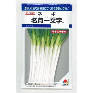 ねぎ 森の奏で 5ml トキタ種苗 : グリーンロフトネモト - 通販 - Yahoo