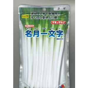 ねぎ ホワイトスター ペレット種子5000粒 タキイ種苗（株） : グリーン