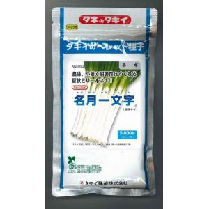 ねぎ　名月一文字　コート種子　2L　5000粒　タキイ種苗（株）