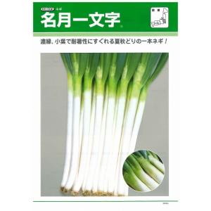 ねぎ 名月一文字 ペレット種子 2L 5000...の詳細画像1