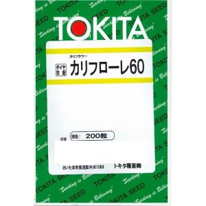 イタリア野菜 カリフローレ60 200粒 トキタ種苗（株）