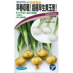 野菜の種/種子 早春収穫！超極早生玉葱！トップゴールド305・タマネギ