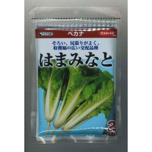 枝豆 丹波黒大粒大豆 1L タキイ種苗（株） : グリーンロフトネモト