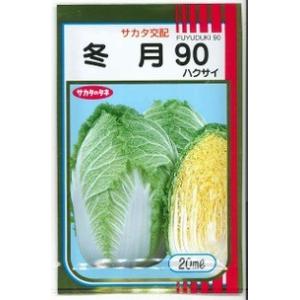 白菜 冬月90 20ml （株）サカタのタネ