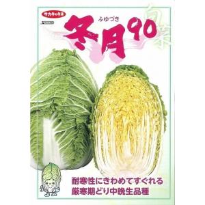 白菜 冬月90 20ml (株)サカタのタネの詳細画像1