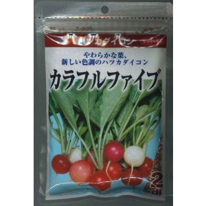 二十日大根 はつかだいこん カラフルファイブ 2dl （株）サカタのタネ