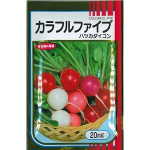 二十日大根 はつかだいこん カラフルファイブ 20ml （株）サカタのタネ