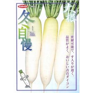 大根 冬自慢 ペレット種子5000粒(株)サカ...の詳細画像1