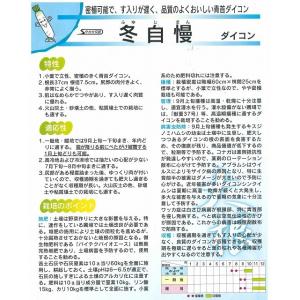 大根 冬自慢 ペレット種子5000粒(株)サカ...の詳細画像2