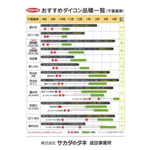大根 冬自慢 ペレット種子5000粒(株)サカ...の詳細画像3