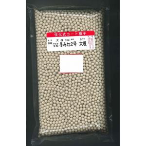 大根 冬みね2号 5000粒 ペレット種子 （株）サカタのタネ