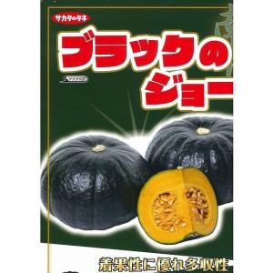 かぼちゃ ブラックのジョー 100粒 (株)サ...の詳細画像1