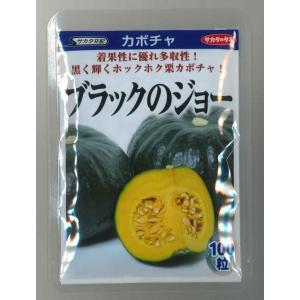 かぼちゃ ブラックのジョー 100粒 (株)サ...の詳細画像2