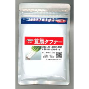 サカタのタネ（サカタノタネ） ねぎ 夏扇パワー 1dl (裸種子)（株